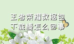 王者荣耀数据包下载慢怎么回事