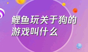 鲤鱼玩关于狗的游戏叫什么（鲤鱼玩关于狗的游戏叫什么游戏）