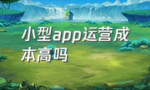 小型app运营成本高吗