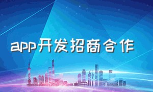 app开发招商合作（app平台开发邀约企业合作话术）