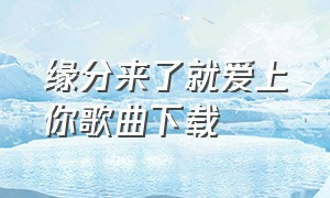 缘分来了就爱上你歌曲下载（缘分来了就爱上你歌曲下载免费）