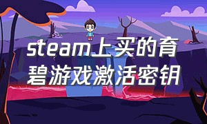 steam上买的育碧游戏激活密钥（在steam买育碧的游戏怎么查看密钥）