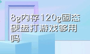 8g内存120g固态硬盘打游戏够用吗