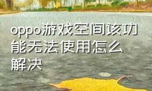 oppo游戏空间该功能无法使用怎么解决