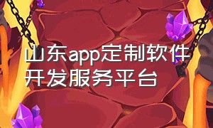 山东app定制软件开发服务平台