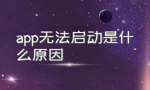 app无法启动是什么原因