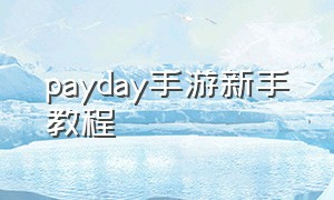 payday手游新手教程（payday怎么玩）
