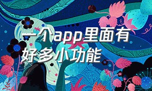 一个app里面有好多小功能