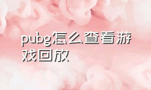 pubg怎么查看游戏回放