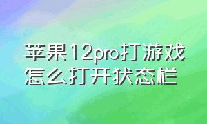 苹果12pro打游戏怎么打开状态栏