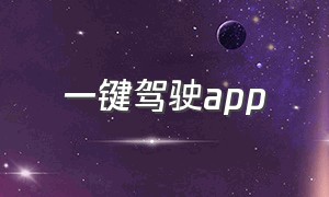 一键驾驶app