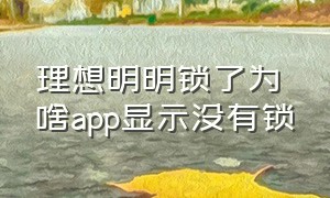 理想明明锁了为啥app显示没有锁