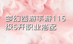 梦幻西游手游115级5开职业搭配（梦幻西游手游5开最佳组合平民2024）