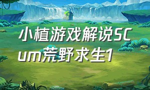 小植游戏解说SCum荒野求生1