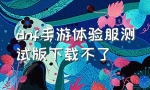 dnf手游体验服测试版下载不了