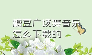 糖豆广场舞音乐怎么下载的（糖豆广场舞大全视频完整版）