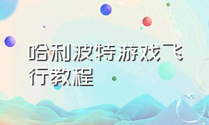 哈利波特游戏飞行教程（哈利波特游戏动作在哪里设置）