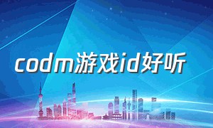 codm游戏id好听