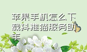 苹果手机怎么下载抖推猫服务助手