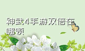 神武4手游双倍在哪领