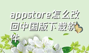 appstore怎么改回中国版下载软件