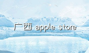 广西 apple store（applestore广西直营店）