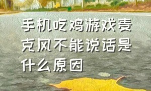 手机吃鸡游戏麦克风不能说话是什么原因（吃鸡手机麦克风没声音怎么设置）