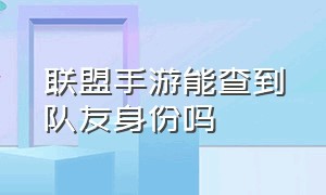 联盟手游能查到队友身份吗