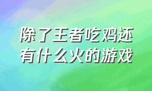 除了王者吃鸡还有什么火的游戏