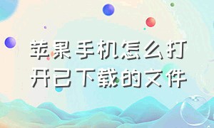 苹果手机怎么打开已下载的文件（苹果手机怎么看下载的文件在哪里）