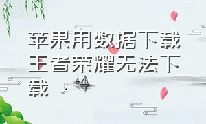 苹果用数据下载王者荣耀无法下载（苹果用数据下载王者荣耀无法下载怎么回事）