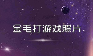 金毛打游戏照片