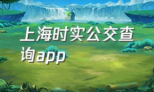 上海时实公交查询app（上海公交app怎么不能查询了）