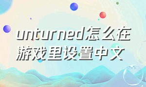 unturned怎么在游戏里设置中文