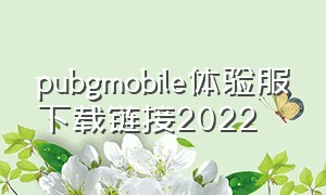 pubgmobile体验服下载链接2022（pubgmobile体验服手游下载）