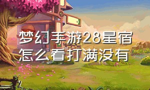 梦幻手游28星宿怎么看打满没有