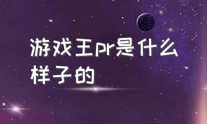 游戏王pr是什么样子的（游戏王pr是什么样子的图片）