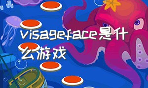 visageface是什么游戏（VISAGE游戏讲了什么）