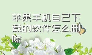 苹果手机自己下载的软件怎么删除