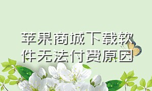 苹果商城下载软件无法付费原因