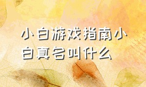 小白游戏指南小白真名叫什么