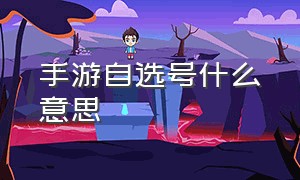 手游自选号什么意思