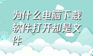 为什么电脑下载软件打开却是文件