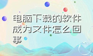 电脑下载的软件成为文件怎么回事