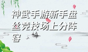 神武手游新手盘丝竞技场上分阵容