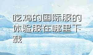 吃鸡的国际服的体验服在哪里下载