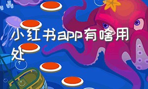 小红书app有啥用处（小红书app有多少人在使用）