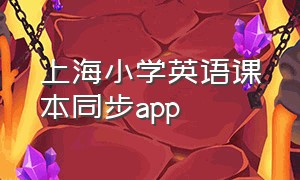 上海小学英语课本同步app