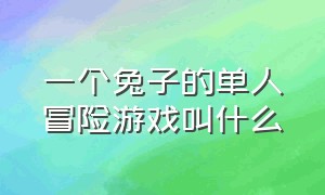 一个兔子的单人冒险游戏叫什么（一个兔子的单人冒险游戏叫什么来着）