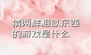 猜两样相似东西的游戏是什么